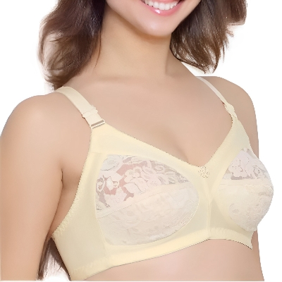 Picture of 4 Pieces Standard Quality Full Half Net Bra for Women & Girls - Comfortable to Wear - Comfortable and Stylish Innerwear Set