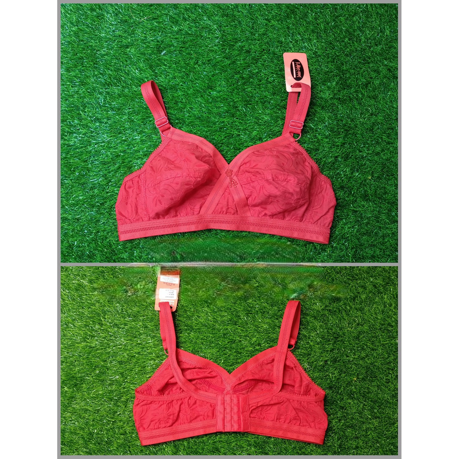 Picture of Indian Like Me Brand Originel Bra For Girls Comfortable For Daily and party use 4 Color Available