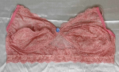 Picture of Export bra Net Stylish bra Comfort bra women SB export quality girls bra for women girls  bra