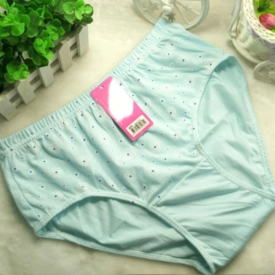 Picture of 4 Pcs Combo Premium Quality Panty For Girls Pure Cotton