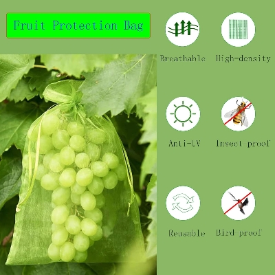 Picture of Fruit Protection Bag (15*20cm)Garden Insect-proof And Bird-proof Bagging 10 Pcs