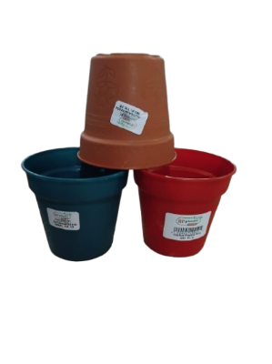 Picture of Cactus Planter 12 Pcs 9cm