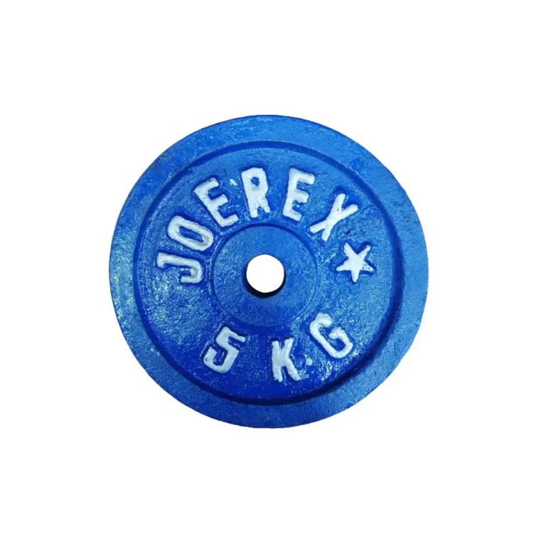 Picture of 5kg Dumbbell Plate 1 Pcs - Blue - Sports & Fitness