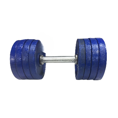 Picture of 20kg Dumbbell Plate 1 Pcs - Blue - Sports & Fitness