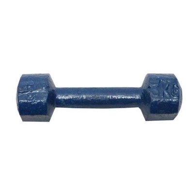 Picture of 1kg Bangla Dumbbell Blue 1pcs - Sports & Fitness