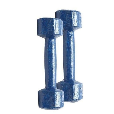 Picture of 1kg Bangla Dumbbell Blue 2pcs - Sports & Fitness
