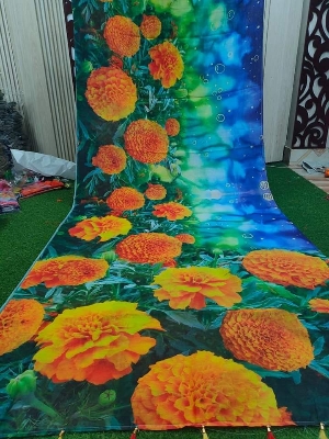 Picture of Women chandini silk digital  print saree for women