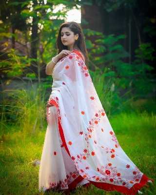Picture of Dhupian half silk skin print sari for women New /Saree