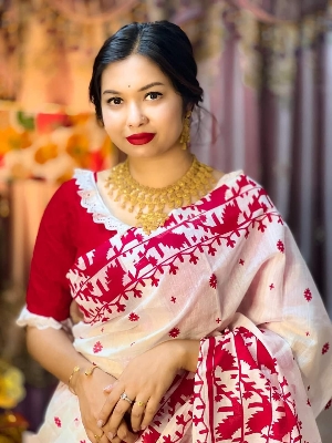 Picture of Half Silk Saree for Women Perfect for All Seasons and Occasions - Ideal for Casual Wear