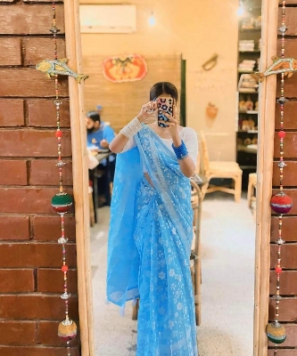 Picture of Elegant Stylish Brand New Halfsilk Screen Print Saree For Women - Perfect and Suitable Any Occasion