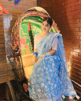 Picture of Elegant Stylish Brand New Halfsilk Screen Print Saree For Women - Perfect and Suitable Any Occasion