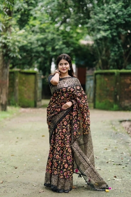 Picture of Fashionable Half Silk Saree for Women - Embrace Elegance for All Occasions - Suitable for All Seasons