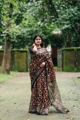 Picture of Fashionable Half Silk Saree for Women - Embrace Elegance for All Occasions - Suitable for All Seasons