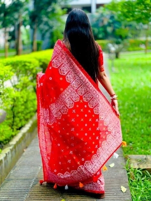 Picture of Fashionable Half Silk  Saree for Women - Embrace Elegance for All Occasions - Suitable for All Seasons