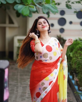 Picture of Fashionable Half Silk Saree for Women - Embrace Elegance for All Occasions - Suitable for All Seasons