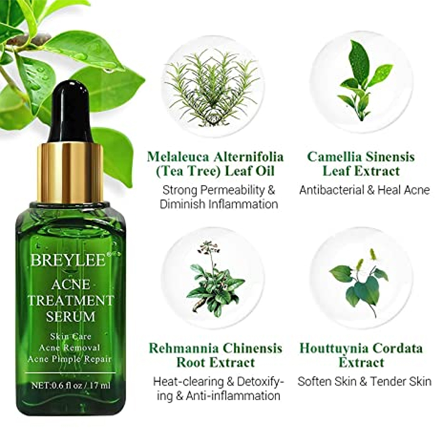 Picture of Breylee Acne Treatment Serum Facial - 17 ml