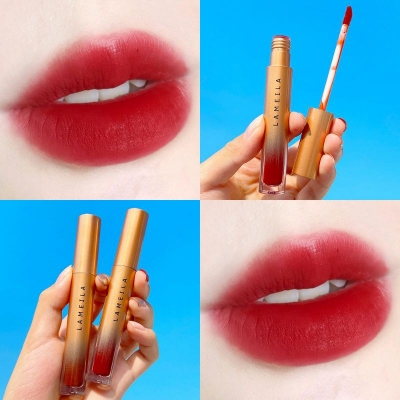 Picture of Lameila Velvet Lip Glaze Lipstick 03