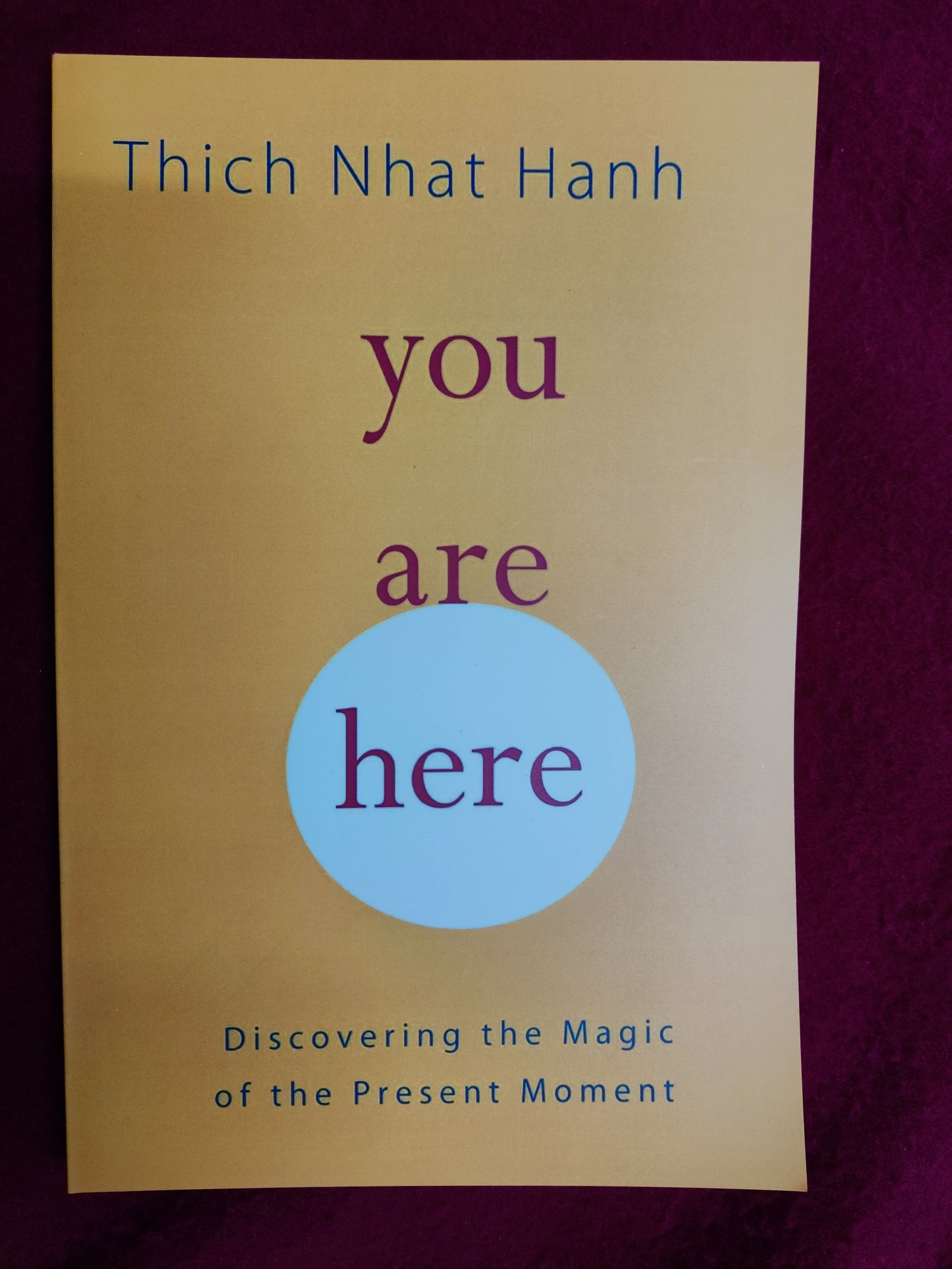 Picture of You Are Here: Discovering the Magic of the Present Moment

Book by Thich Nhat Hanh
- Premium
