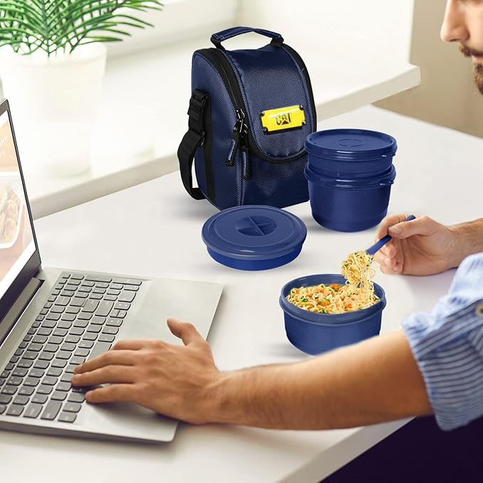 Picture of Lunch box bag for man office | office bag for men small size | Carry bag or tiffin bag  4 box lunch bag for nan and women , Lunch Box Bag For 4 layer food box