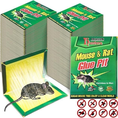 Picture of Mouse and Rat Glue Tape 1 Piece