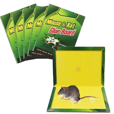 Picture of Mouse and Rat Glue Tape 1 Piece