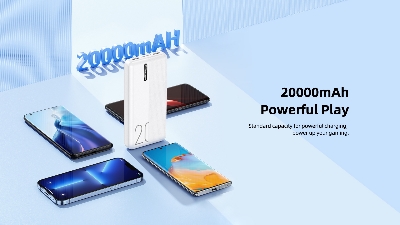 Picture of Remax RPP-295 10000mAh 2.1A Landon Series Power Bank