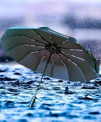 Picture of BMW Motorsport 12 Ribs Auto Switch Umbrella