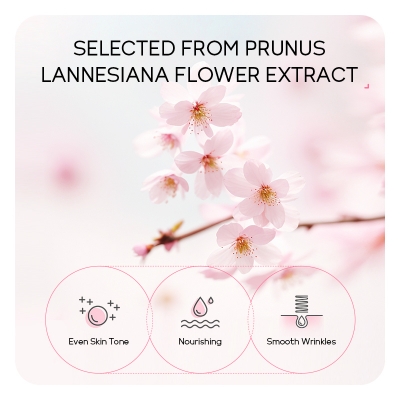 Picture of Laikou Japan Sakura Peel off Mask 50gm - Deep Cleansing Tighten Pores Even Brighten Skin Tone Blackhead Remover