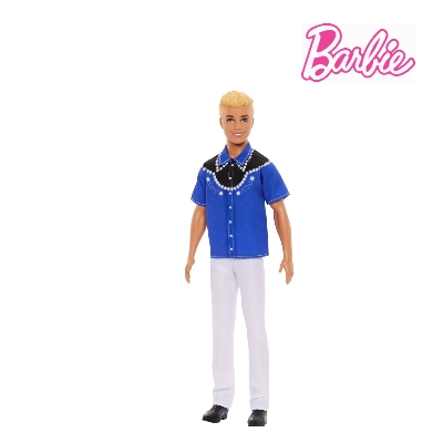 Picture of Barbie DWK44 Fashionistas Doll Ass, Ages 3+