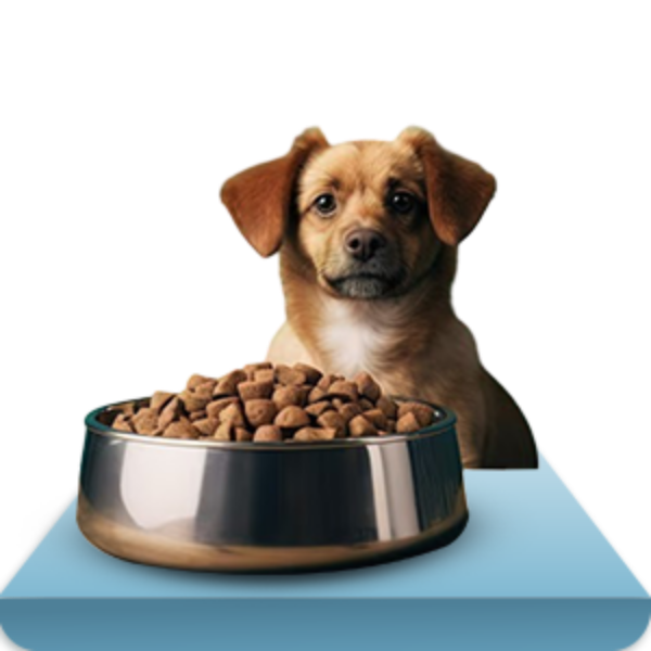 Picture for category Pet Supplies