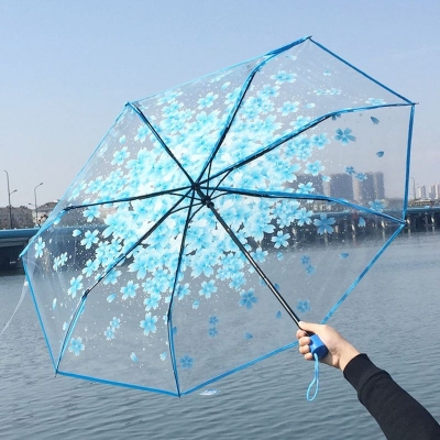 Picture of Flower Print Transparent Folding Umbrella