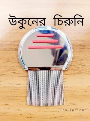 Picture of Magic Chinese Comb || Terminator lice comb