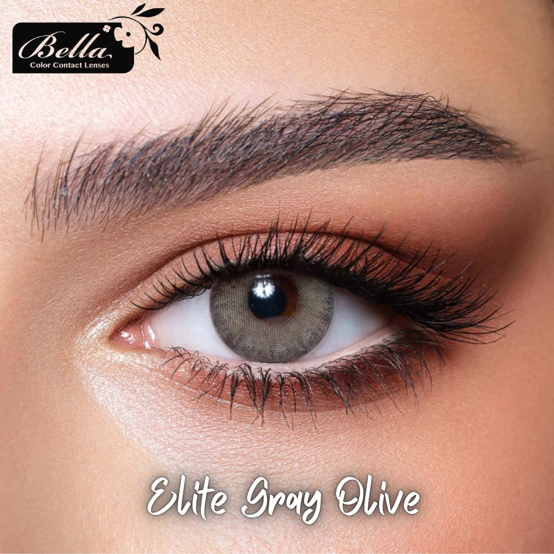 Picture of Bella Gray Olive Color Contact Lens with Regular Kit Box. For men,women/Unisex. Bella Elite Series. #gray.olive