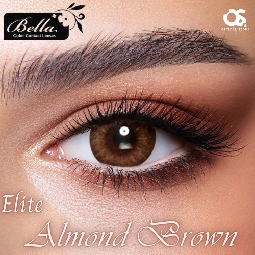 Picture of Bella Almond Brown Elite Color Contact Lens contact lens with Rgular Kit Box. Bella Elite Series. #Almond.brown