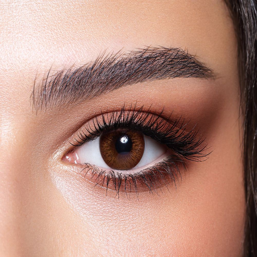 Picture of Bella Cinnamon Brown contact lens with kit box
