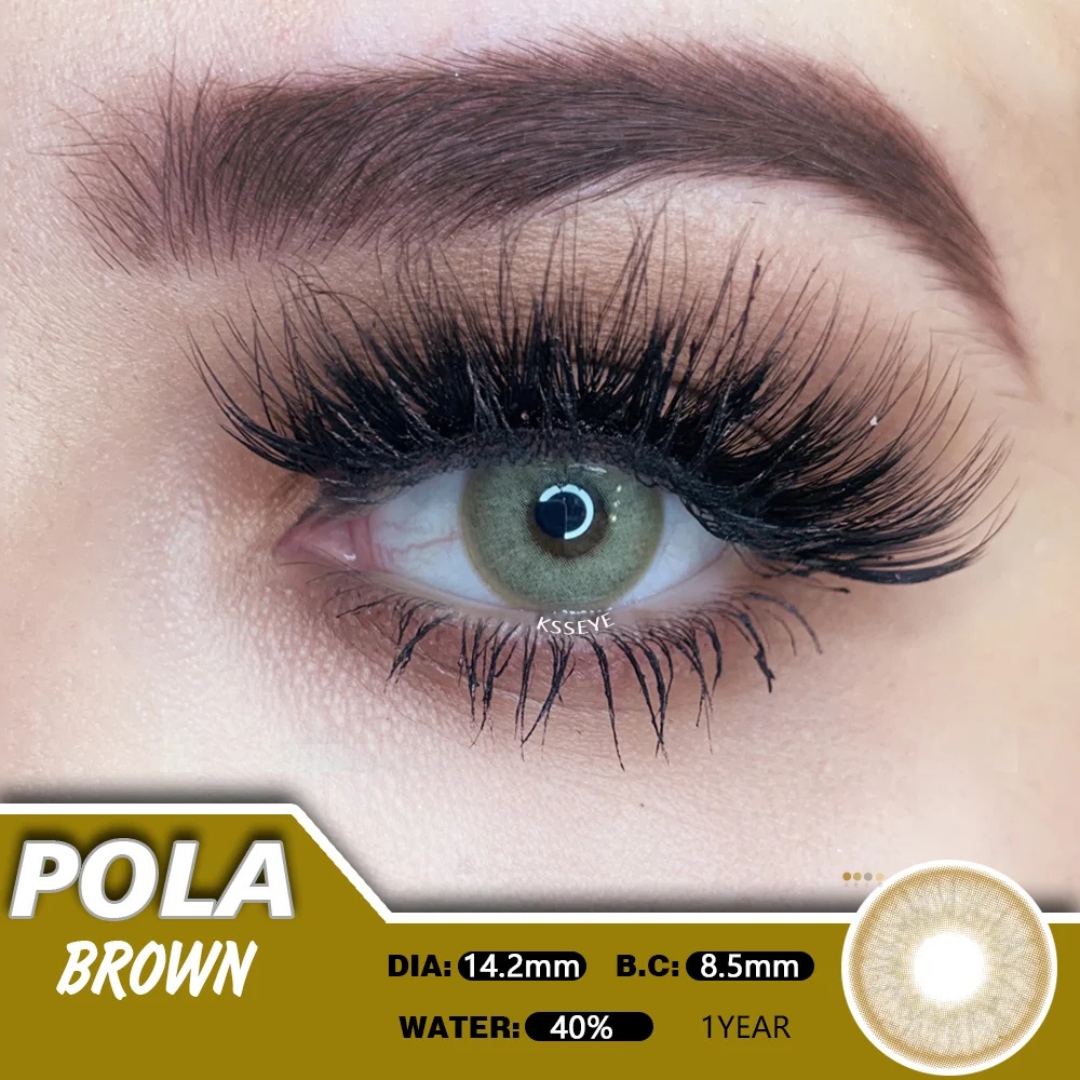 Picture of KSSEYE Pola Brown Color Contact Lens with Regular kit box.For Men & Women/Unisex. Ksseye Pola Series. #polabrown