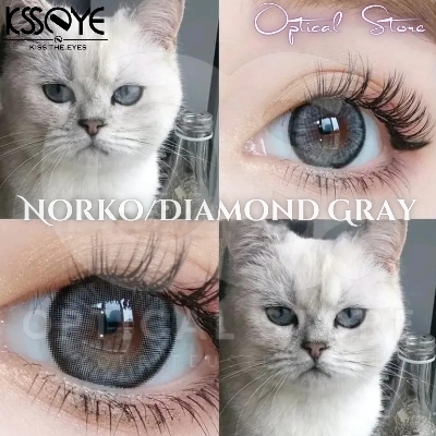 Picture of KSSEYE Diamond/Norko Gray Color Contact Lens With Regular Kit Box for Men & Women. Ksseye Diamond Series. #norkogray