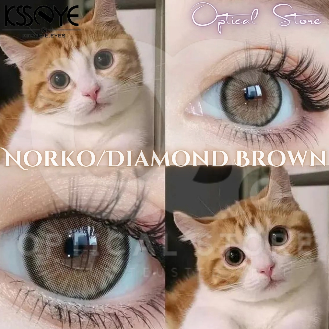 Picture of KSSEYE Diamond/Norko Brown Color Contact Lens with regular Kit Box For men & Women. Ksseye Diamond Series. #norko.brown