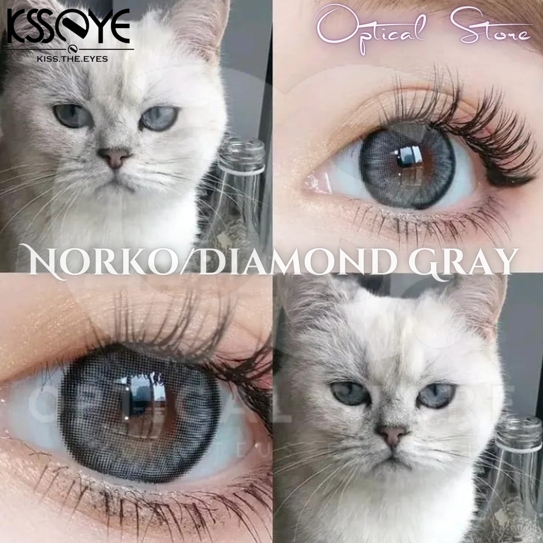Picture of KSSEYE Diamond/Norko Gray Color Contact Lens with regular Kit Box For men & Women. Ksseye Diamond Series #Norko.gray
