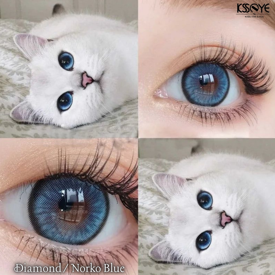 Picture of New Ksseye Diamond/Norko Blue Color Contact Lens With Regular Kit Box For Men and Women. 1 Pair Ksseye Color Contact Lens For Eye Makeup and Cosmetics.Ksseye Diamond Series. #diamond