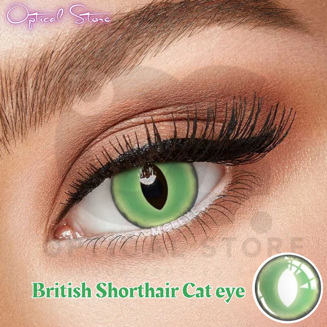 Picture of New Halloween Exclusive British Shorthair Cat eye(Green Color Contact Lens With Regular Kit Box For Men & Women.1pair British Shorthair Cateye(Green)Conatact lens For Halloween Party,Cosplay & Costumes. Halloween Contact Lens #british.shorthair