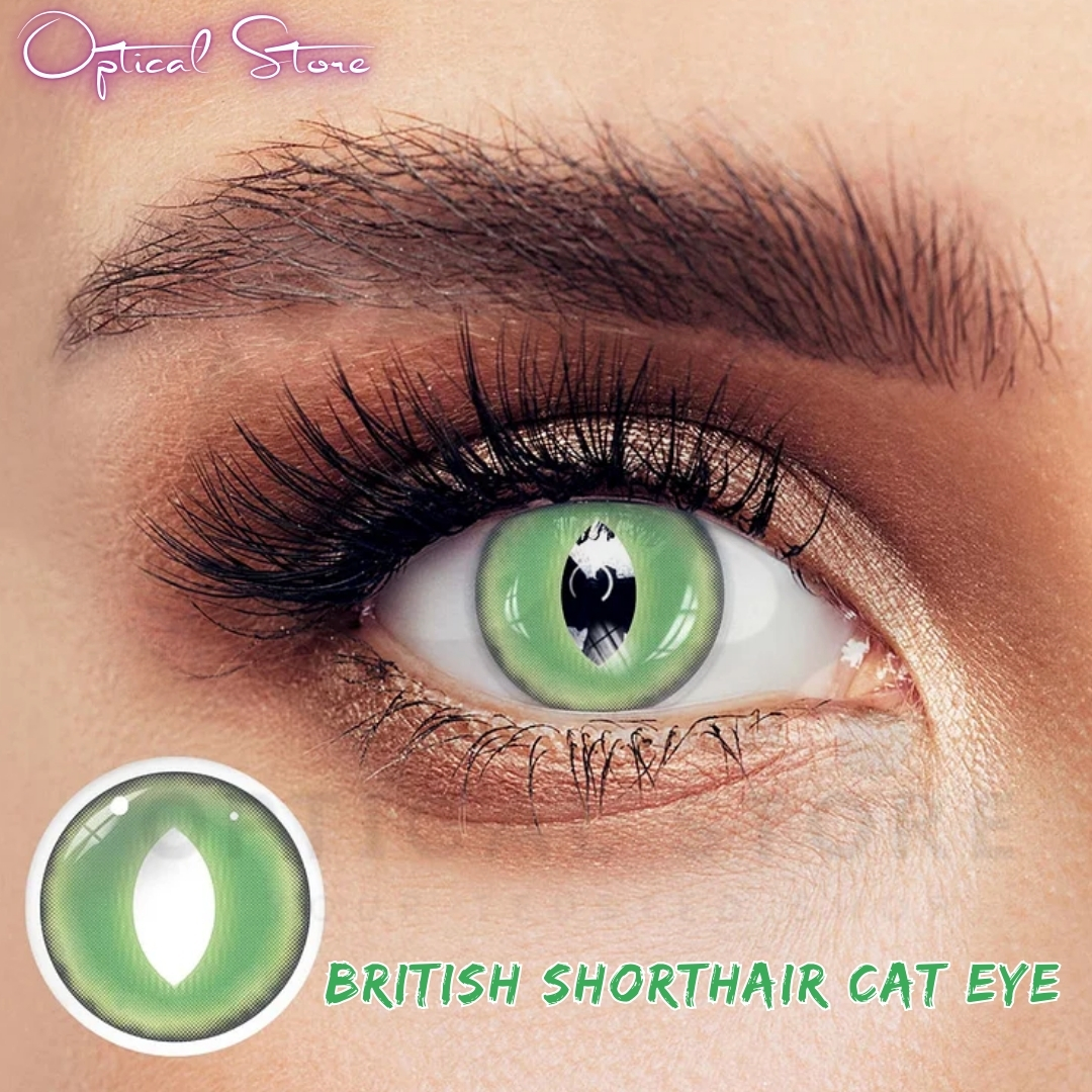 Picture of New Halloween Exclusive British Shorthair Cat eye(Green Color Contact Lens With Regular Kit Box For Men & Women.1pair British Shorthair Cateye(Green)Conatact lens For Halloween Party,Cosplay & Costumes. Halloween Contact Lens #british.shorthair