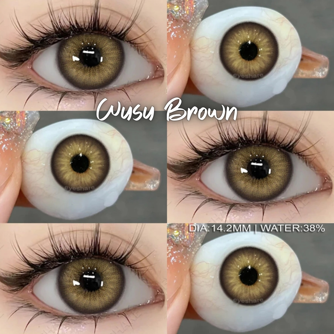 Picture of New Wusu Brown Color contact lens with regular kit box for men & women. 1 pair Eyeshare Color contact lens for eye makeup and Cosmetics. Wusu Series Color Contact Lens. #Wusu
