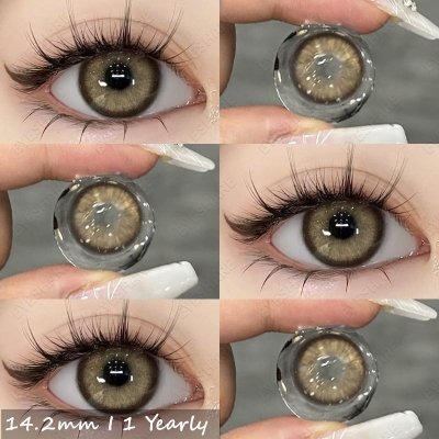 Picture of Ksseye Sem.por.na Brown Color Contact Lens with Lens Kit Box For Men And Women.New Ksseye Sem.por.na Series.#semBrown