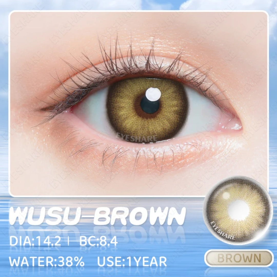 Picture of New Wusu Brown Color contact lens with regular kit box for men & women. 1 pair Eyeshare Color contact lens for eye makeup and Cosmetics. Wusu Series Color Contact Lens. #Wusu