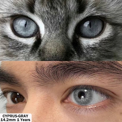Picture of New Eyeshare Cyprus Gray Color Contact Lens With Regular Kit Box For Men And Women. 1 Pair Eyeshare Cyprus Color Contact Lens For Eye Makeup and Cosmetics.Eyeshare Cyprus Series. #cyprus