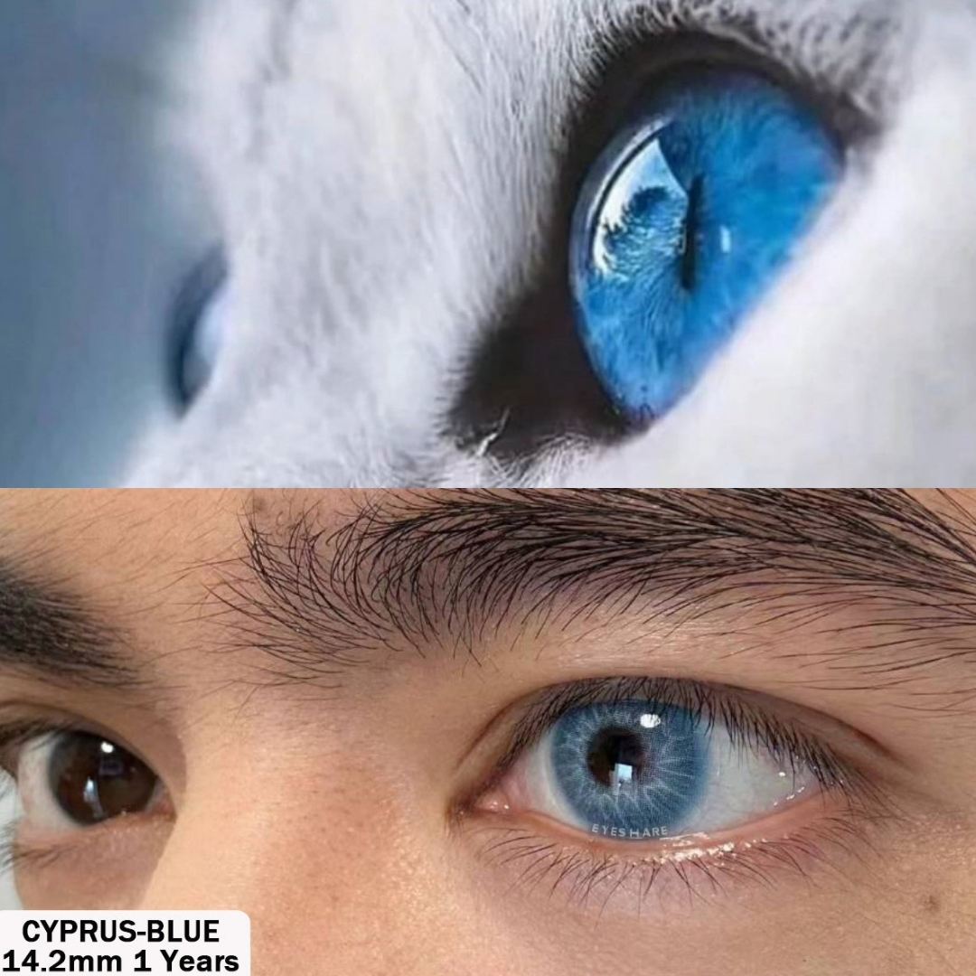 Picture of New Eyeshare Cyprus Blue Color Contact Lens With Regular Kit Box For Men And Women. 1 Pair Ksseye Color Contact Lens For Eye Mackup Cosmetics. Eyeshare Cyprus Series. #cyprus