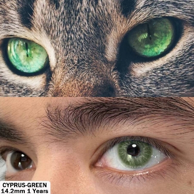 Picture of New Eyeshare Cyprus Green Color Contact Lens With Regular Kit Box For Men And Women. 1 Pair Eyeshare Color Contact Lens For Eye Makeup and Cosmetics.Eyeshare Cyprus Series. #cyprus