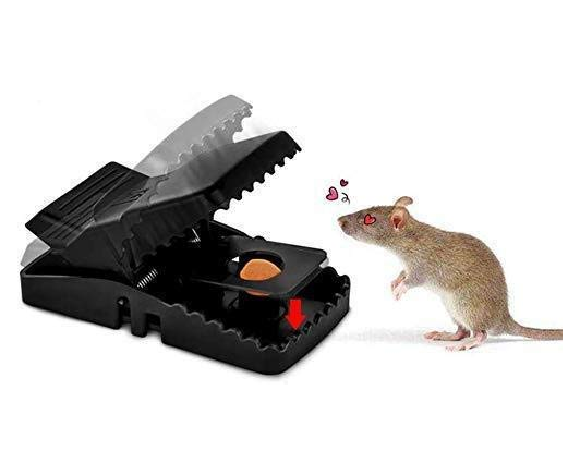 Picture of Rat Traps (Rat Snap Trap)