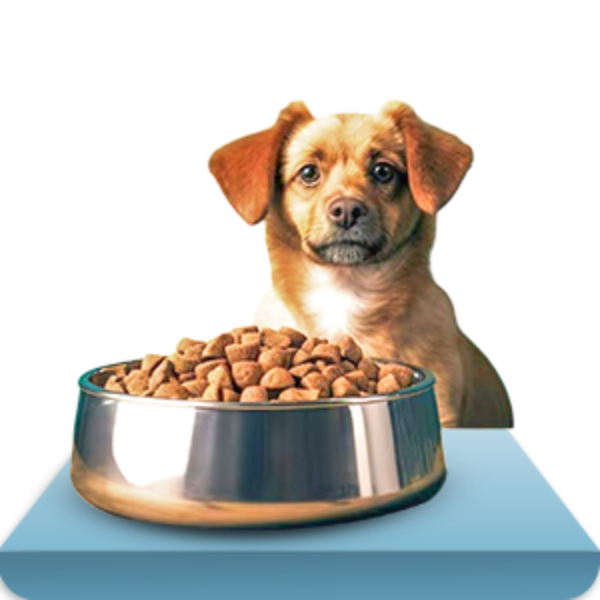 Picture for category Pet Supplies